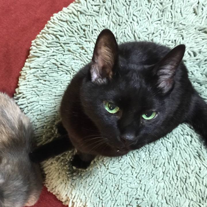 D181ce5a 0f4c 4cca ba32 ccf6ae462f04