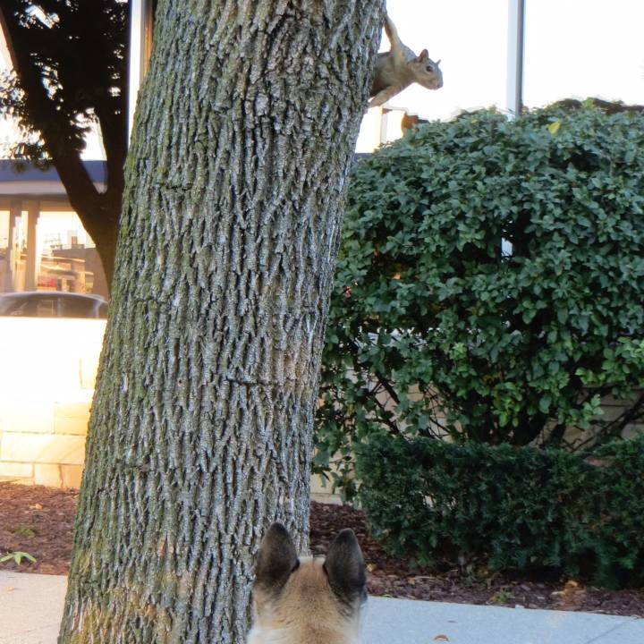 D181fd0a f75f 4e04 9143 d6802ec791e2