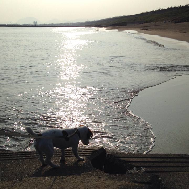 D18251df 4358 4186 89b0 b50007598781