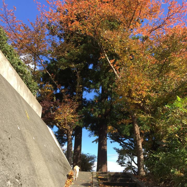 D18266f8 1cdd 4fd6 ba3b c1de5ea227b8