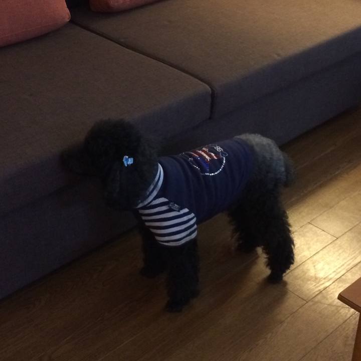 D182ac50 5089 4622 9ea5 a8b8d514aae5