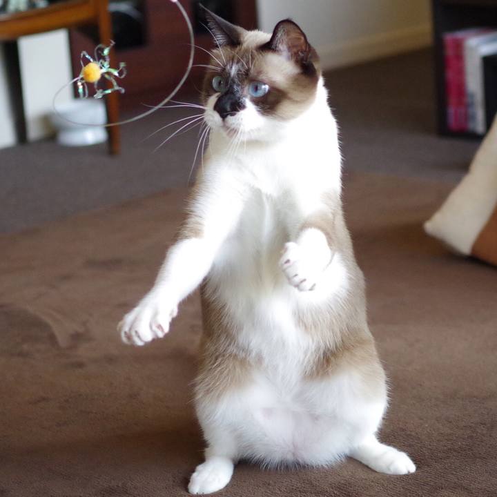 D182c50e c612 450e 9676 951d88979f7e