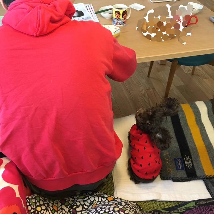 D182d171 3fdf 4f29 8195 4ed0130acc84