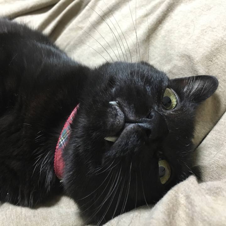 D182dd6b a756 4bd2 9663 a72864be247c