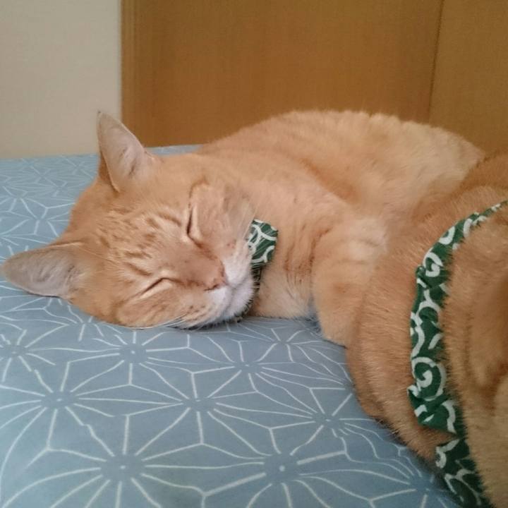 D1831e02 6642 4cb5 85bf 090cba5558d4