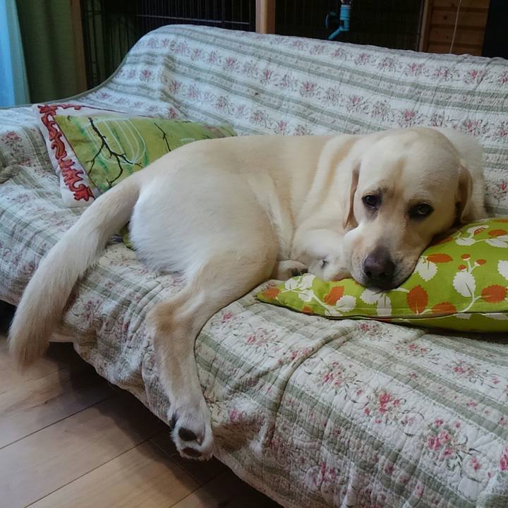 D1834af1 fb5b 49f1 b433 b318ebc8f182