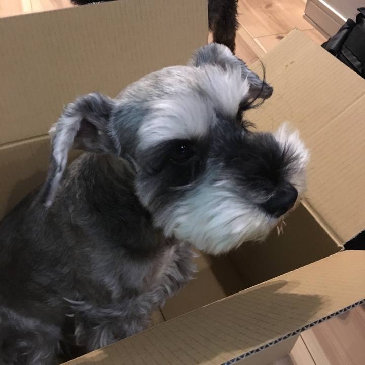 D183ca44 b0ac 40cc 9b4a 3584a91bff64