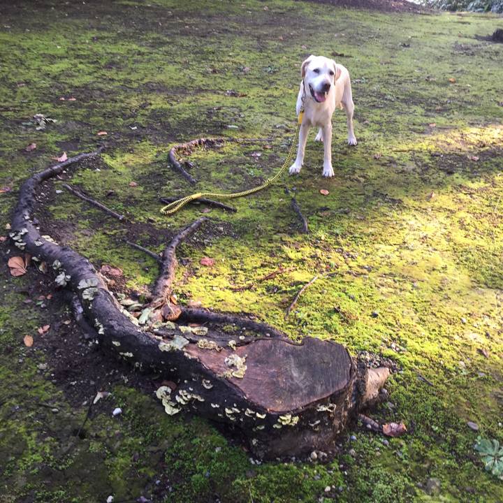 D1842dfa 3ed9 4a77 a8fe ff2450432ca6