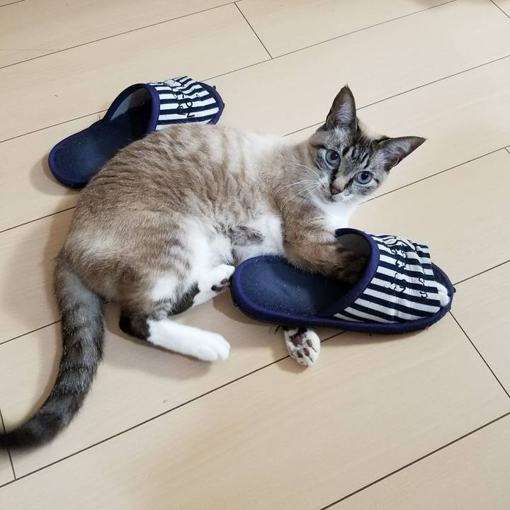 D18455a2 1d01 405f 8ee0 08af509f54aa