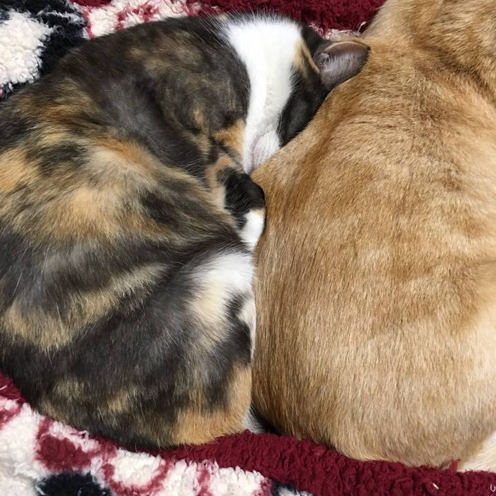 D184a8ce 0d0f 44d2 a14c db28d144f188