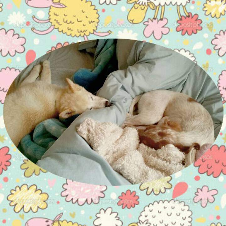 D184e587 ff2b 46fc b662 d887d5b9443d