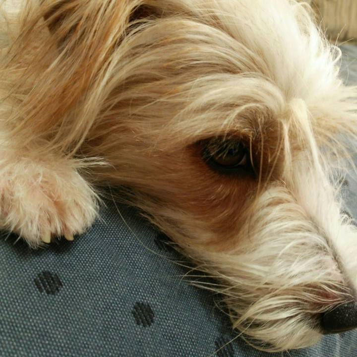 D1852063 955f 4ece bd0c ecd9d88ab440