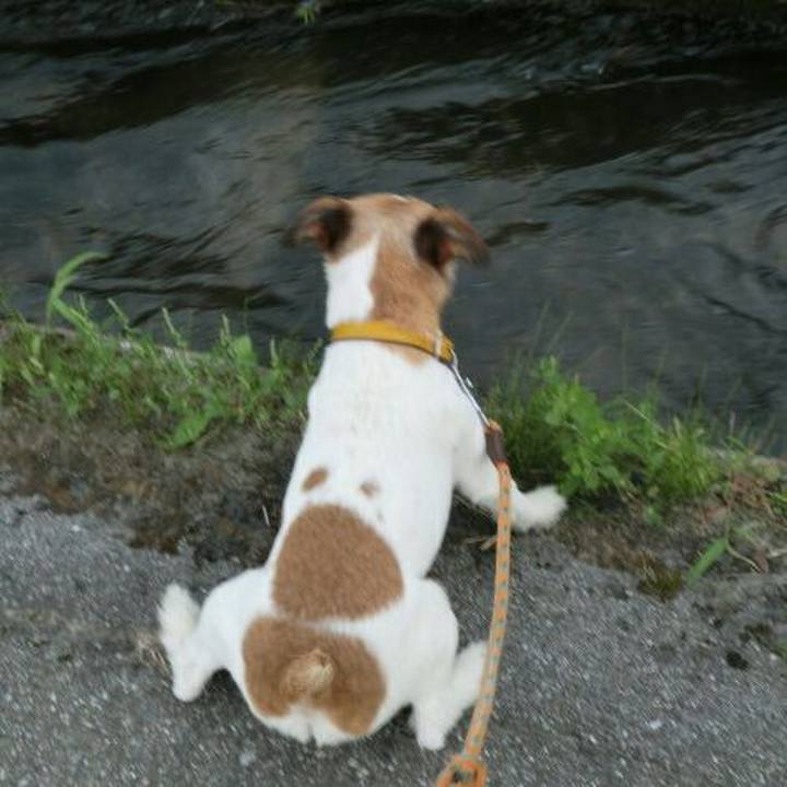 D18539e8 9668 437f a98a 2d3187fc8583