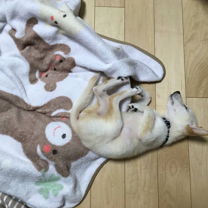 D1863e32 5947 4d98 84f6 cf672653ea7f