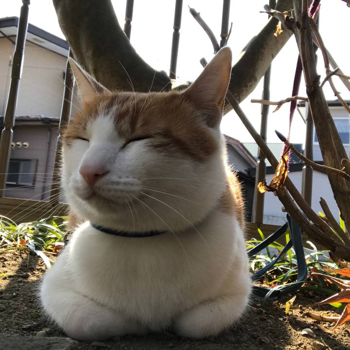 D18685ab 475e 46d1 8dc5 3ab229dc91c7