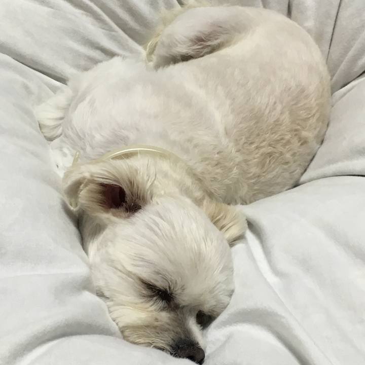 D1869cea 05cf 42c9 8052 73555ee94ce6