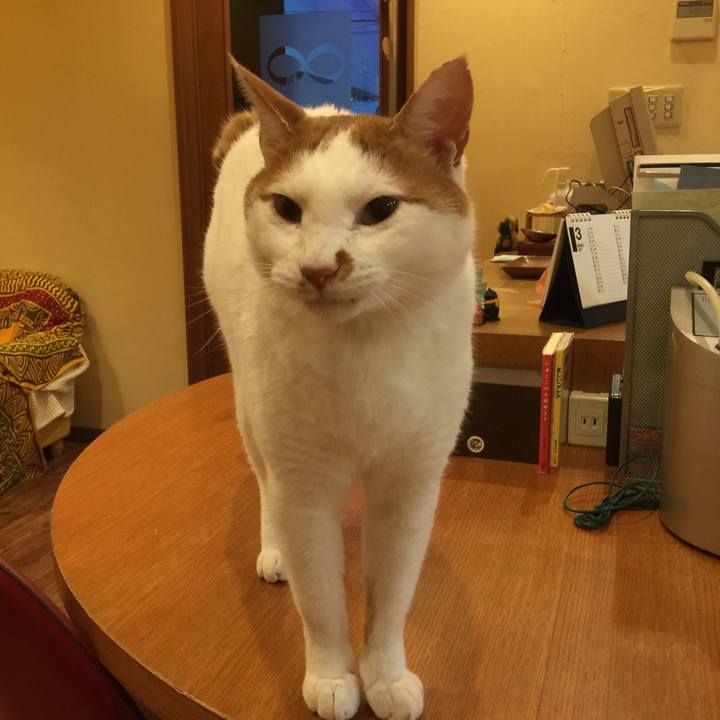 D1876c99 75b5 4ff6 b755 af83b3bbc84d