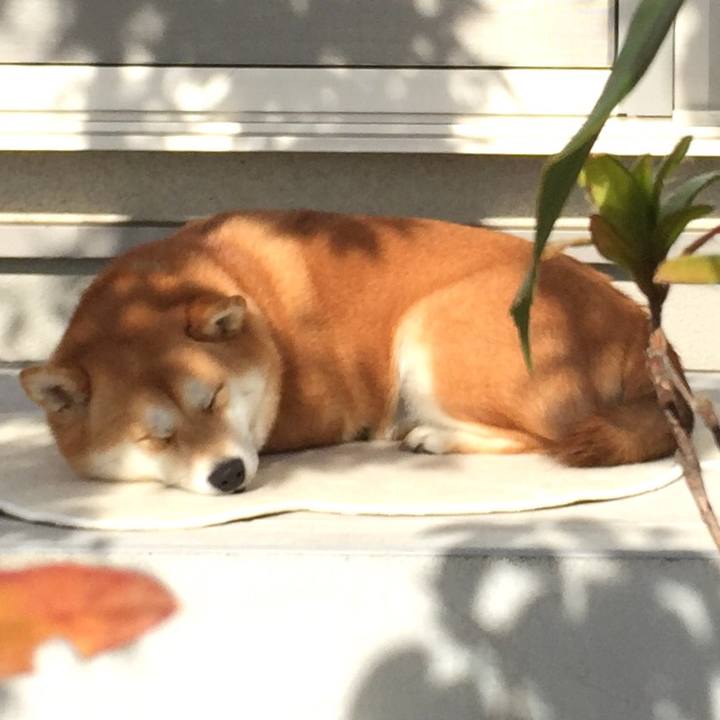 D1877b0b cdd5 414b 9a15 101fcd3d0344