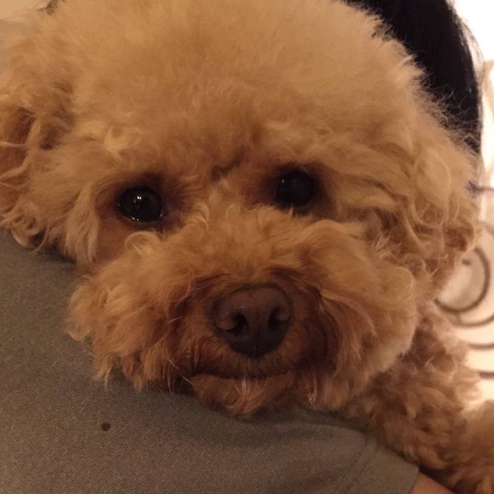 D1879f78 78fc 4d63 83a6 62445f13584d