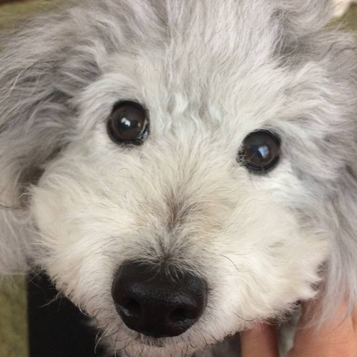 D187d0b0 f042 4897 a53b 22fd29b34d5c