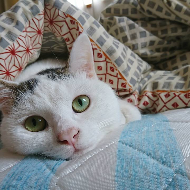 D187d190 68d3 41ed ac5a c2a2ca534603