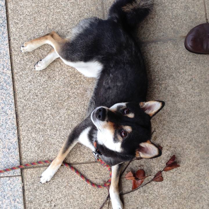 D187e630 3105 419f 9204 197d050ed510