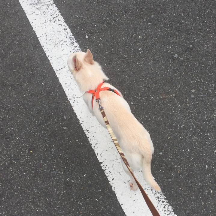 D1884ce3 19f8 4df9 97a4 0f3d0555050f