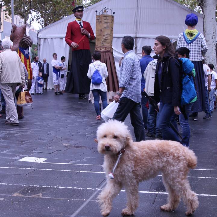 D18889f7 2af9 48b2 bdc5 8e08a97ae985