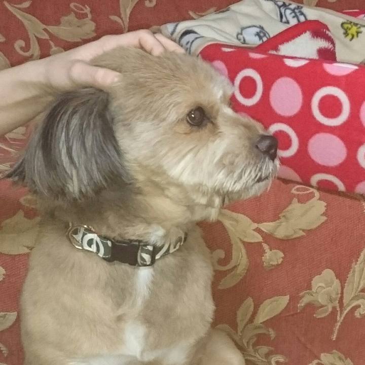 D188a43b 9bb0 449f 9aa7 8609c4a2d6ba