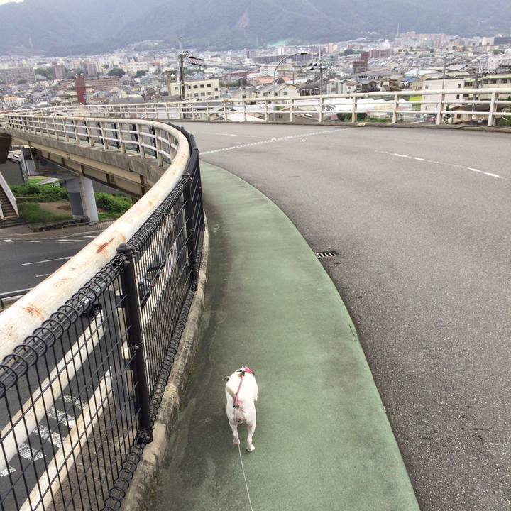 D188a737 3662 4a2b a97c 8934591d8824