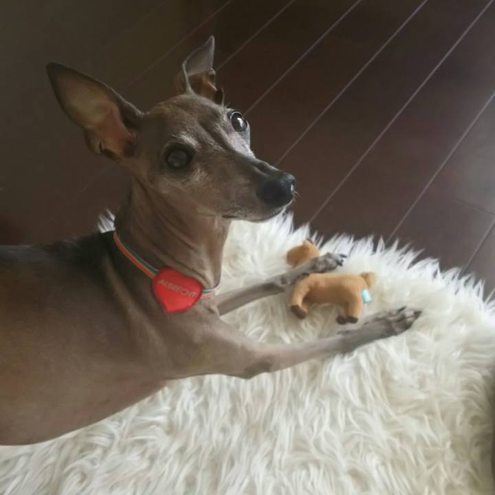 D188bbaa a751 42bb b26b 80b45228592c