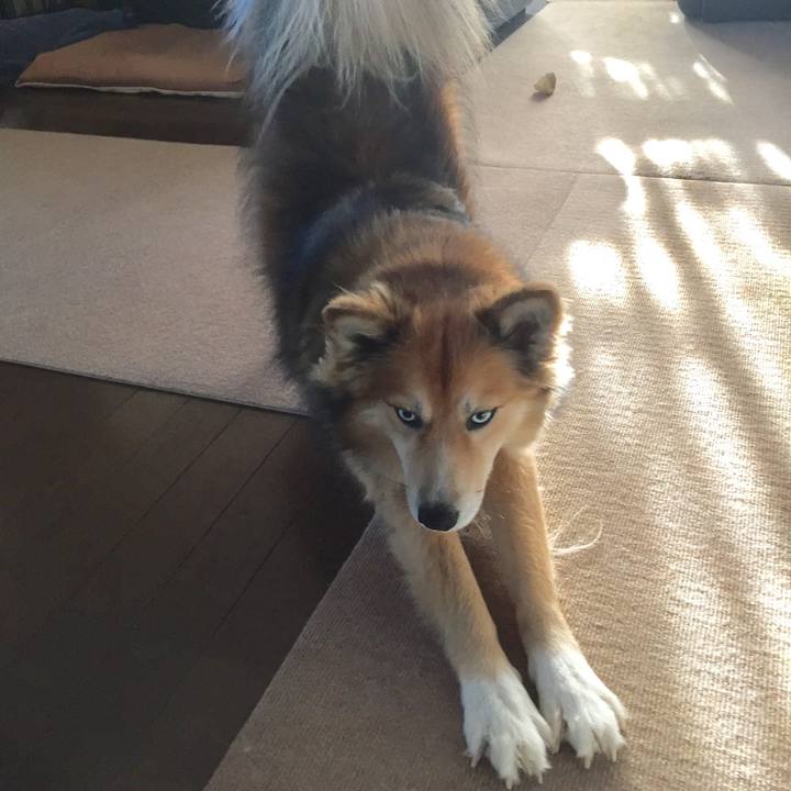 D18985da d648 4efc b335 5ed3b8de9c71