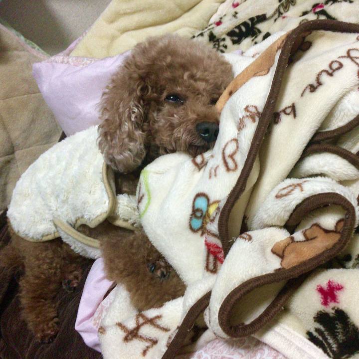 D18a701e 7f87 4708 99c5 8276e559839a