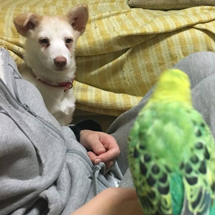 D18a7735 2c72 480a b56a 941a99496cec