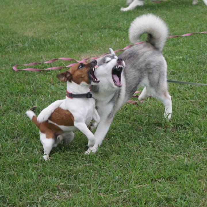 D18aa780 b3a8 49be 843c 63d6fcc3678a