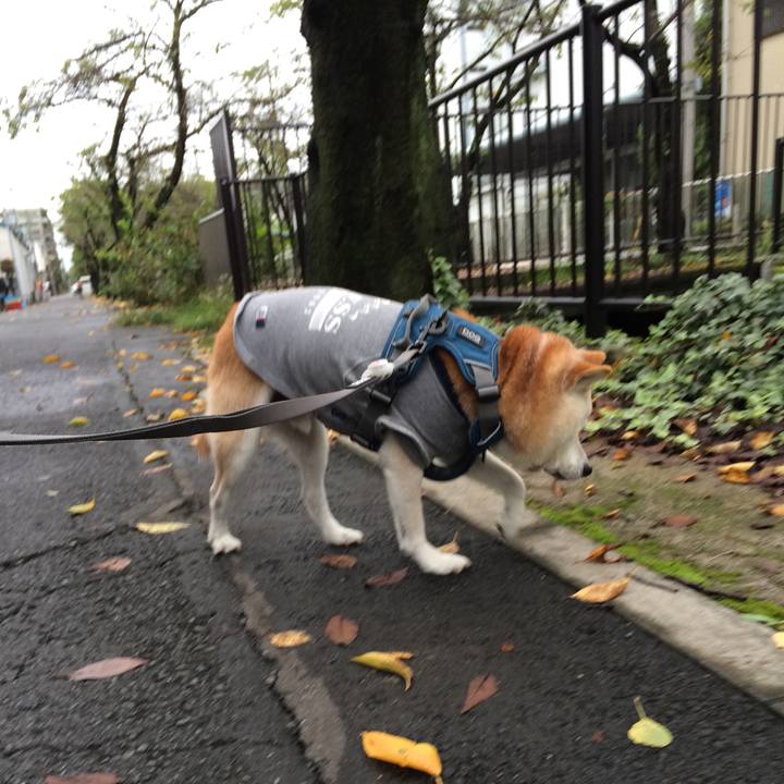 D18af8b0 199b 4605 8a04 bf90f0e82f40