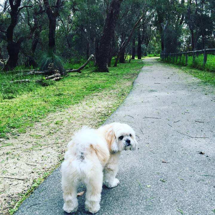 D18b7c0d 578f 4b7f ac1b 2cfd2a92149e