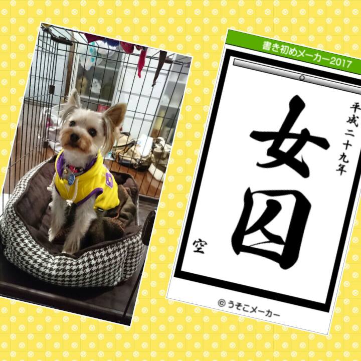 D18c19dc 768e 43c3 8385 a74832164af4