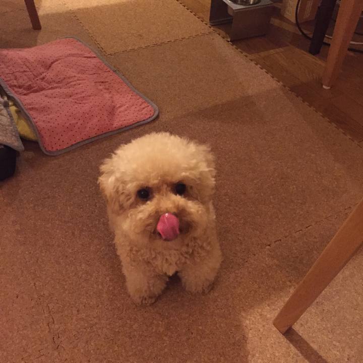 D18c724d 190d 4310 82c2 1fdcbd09b877