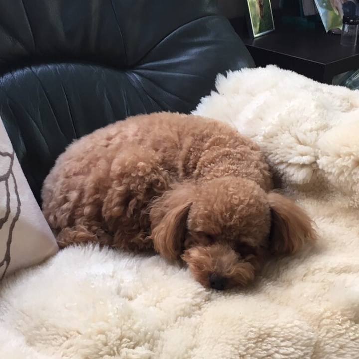 D18c7796 3c80 47ec 9e9f fc092cedd501