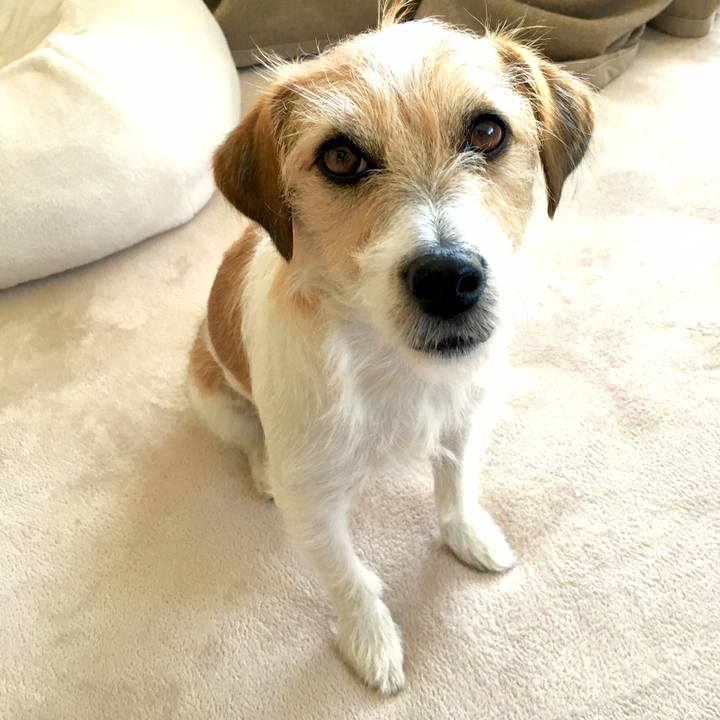 D18c9544 21f8 4160 aaba 14edc756e719