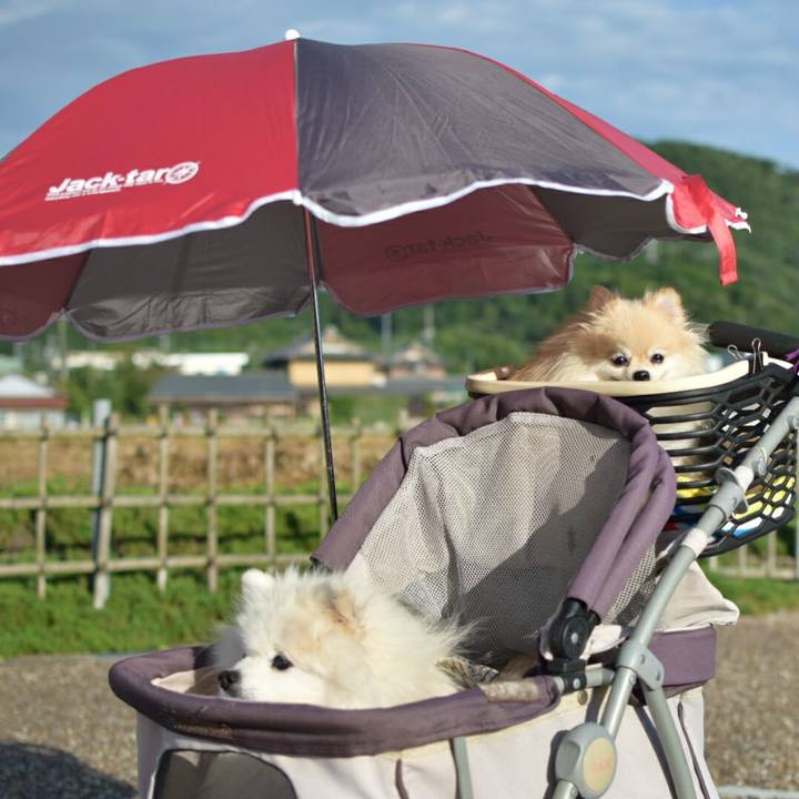 D18d1dc7 2e54 4914 85fa bfb4eb1378a5