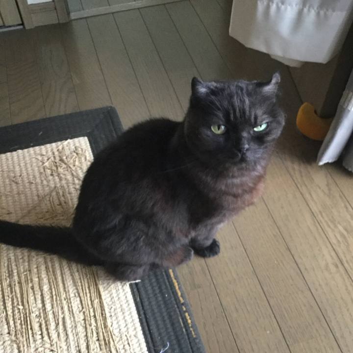 D18e7bcf 414e 4295 b00f dda12c27eba6