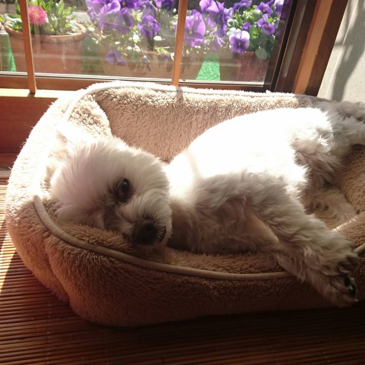 D18e94fd 190b 4073 a514 25970ac4671a