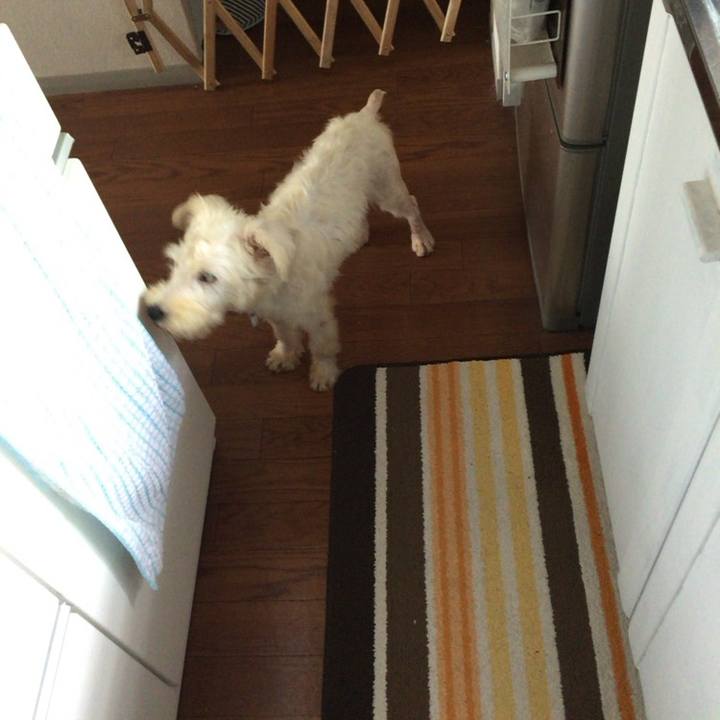 D18f231e ce26 4d51 afab fe440933228f