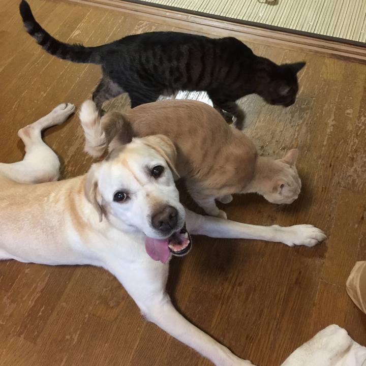 D18f2f42 27fe 4f61 a607 d446f073a4dd