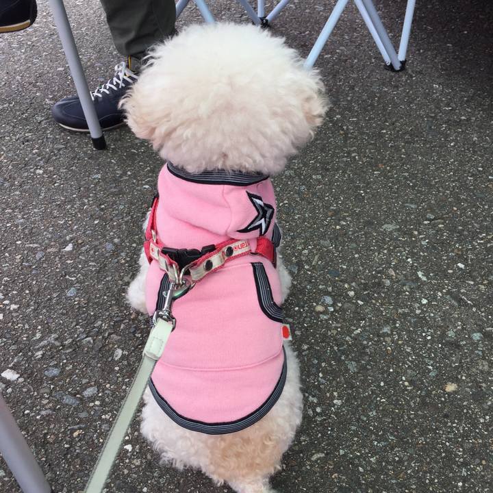 D18f51f1 e219 405f 92b3 a38525f5ec1c