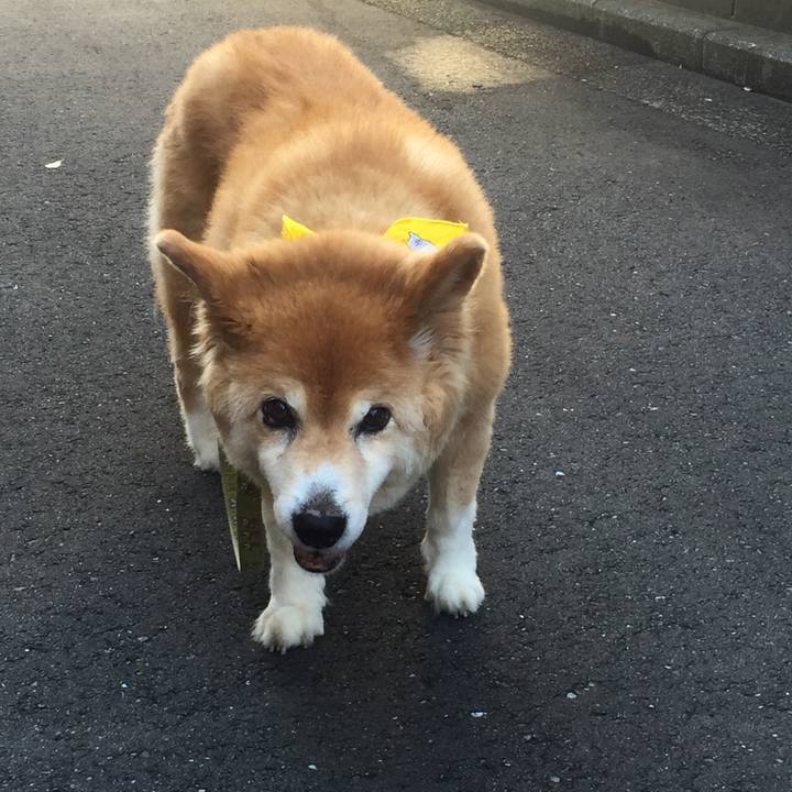 D18f5364 36b0 486f 93c9 35ef247accad