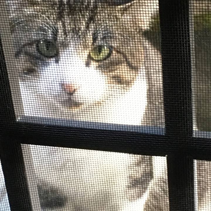 D18f75a2 0d2c 4ddb 93c4 31226d68c748