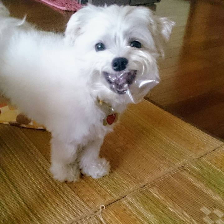 D18fbc9c 5493 4e48 a160 93fc60df6f09